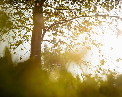 gallery-sustainability-0