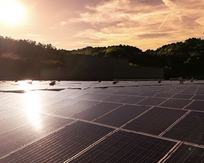 gallery-sustainability-0