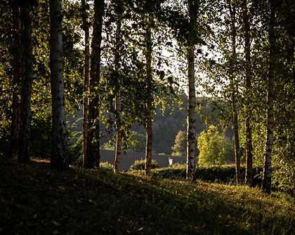 gallery-sustainability-0